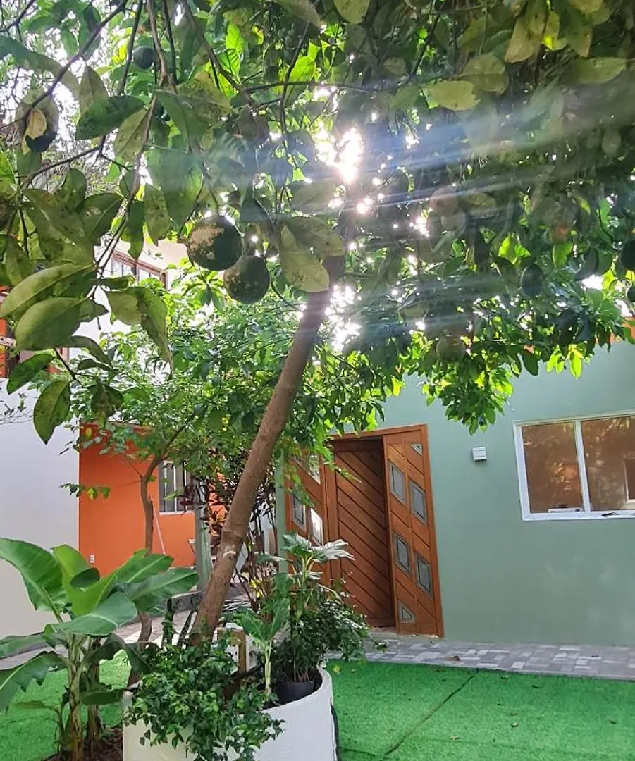 Breeze Floripa - Campeche Apartamento Florianópolis